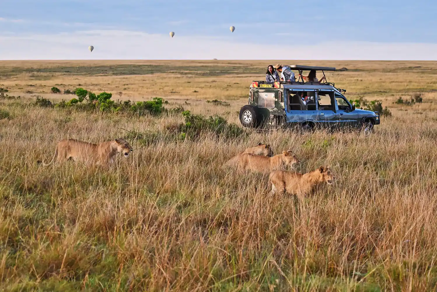 Massai Mara