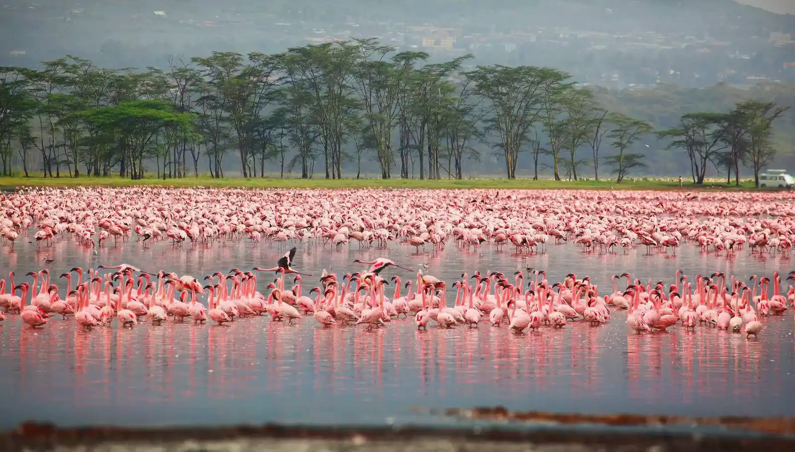 Nakuru National Park