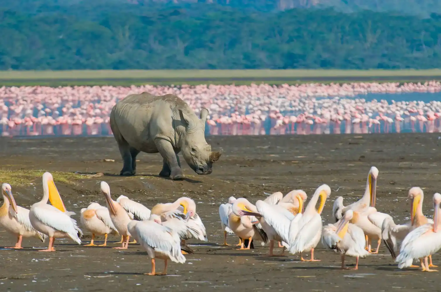 Nakuru National Park