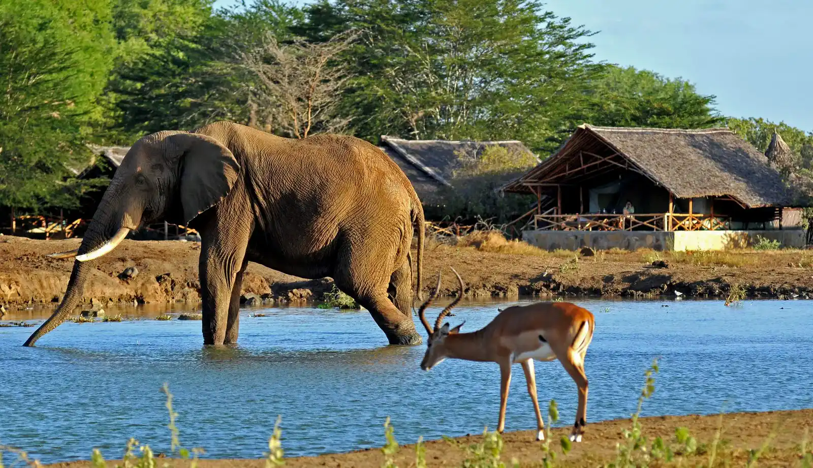 Tsavo National Parks